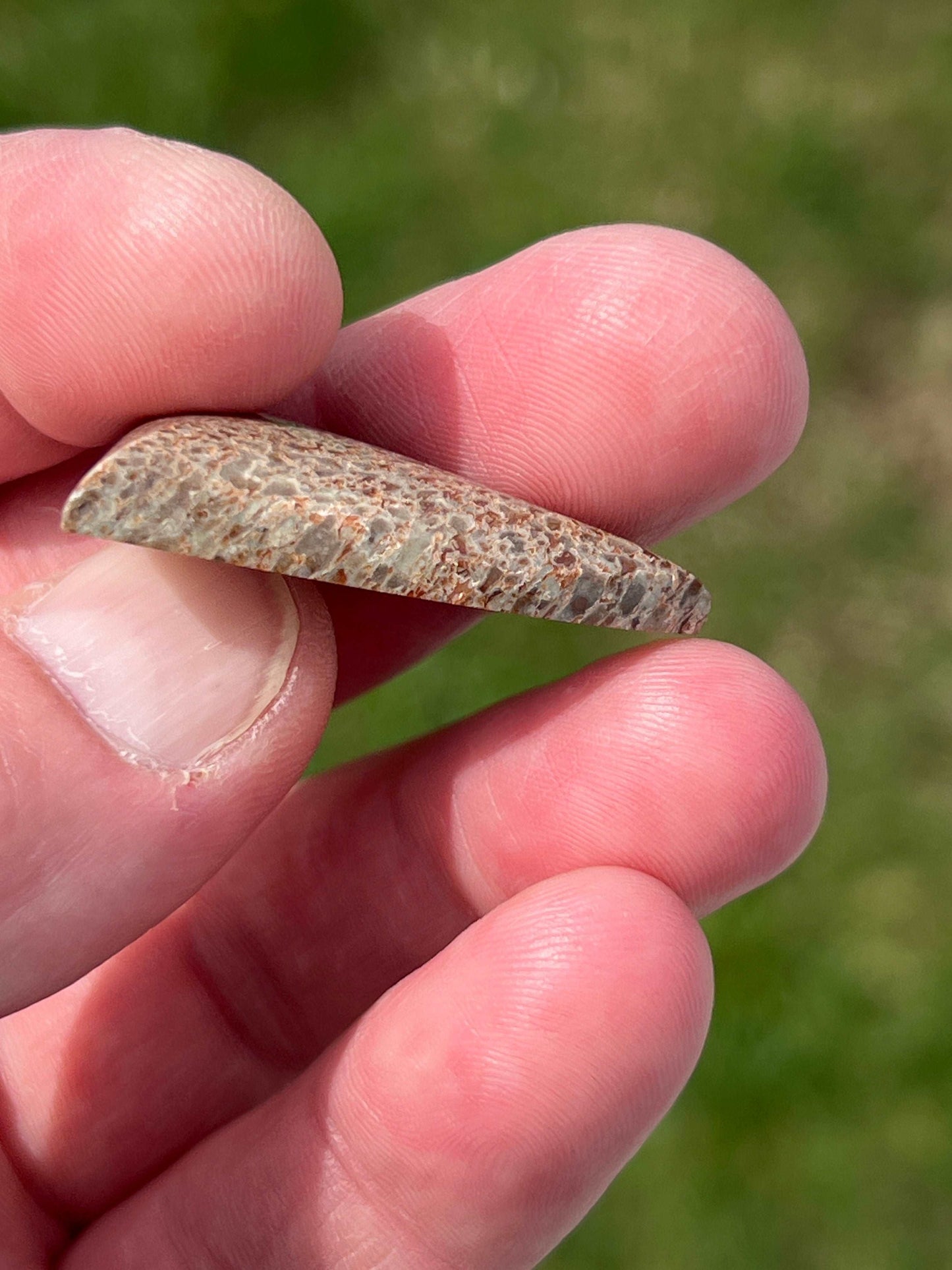 Gem Bone Cabochon