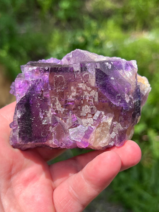 Purple over Yellow Fluorite