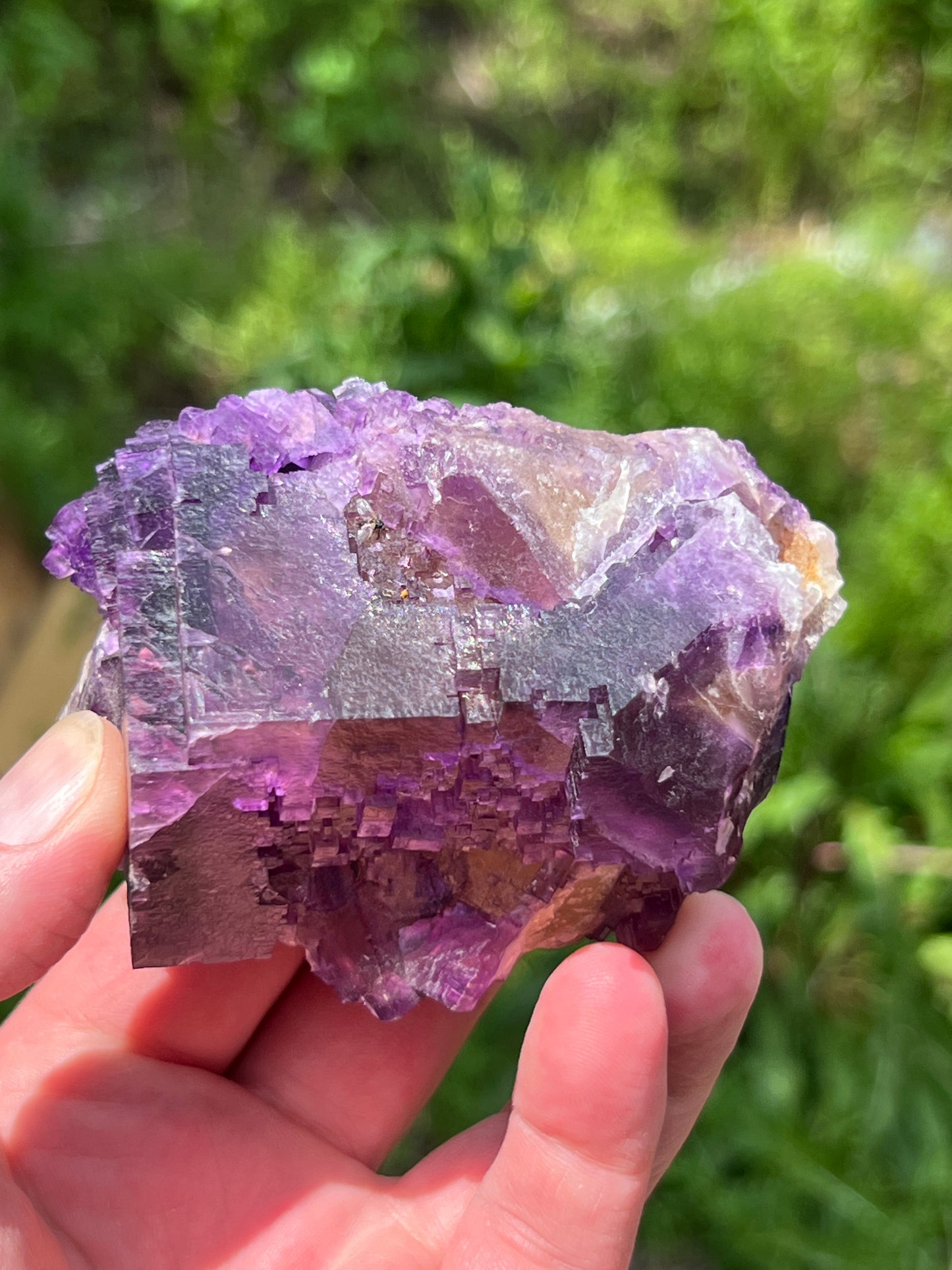 Purple over Yellow Fluorite