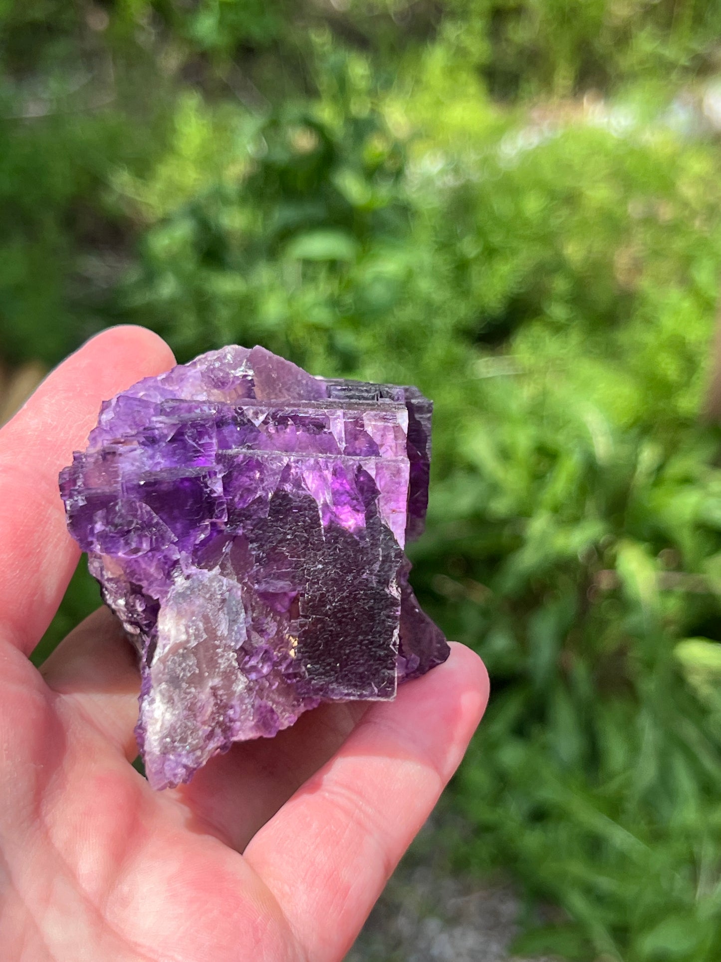 Purple over Yellow Fluorite