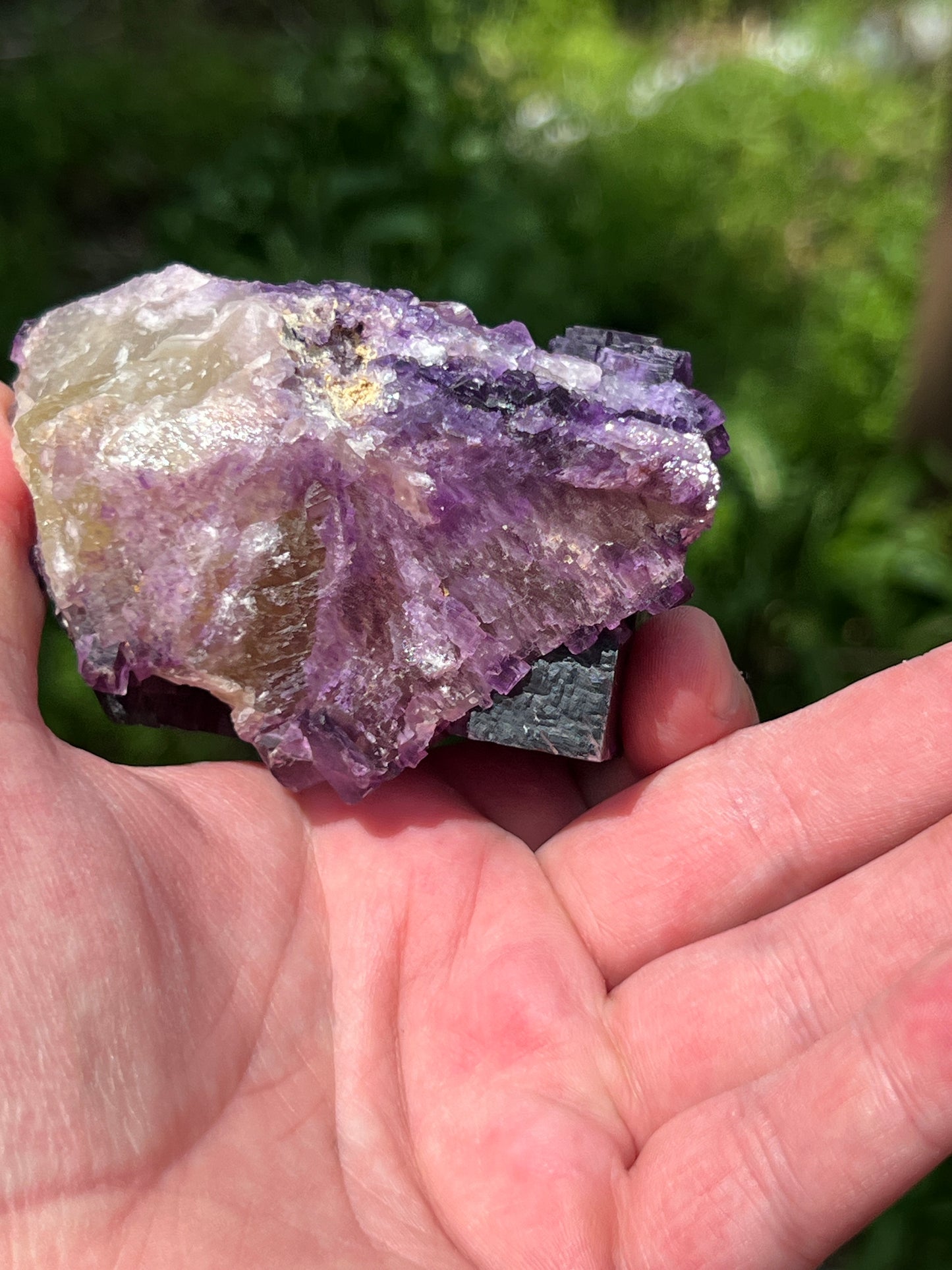 Purple over Yellow Fluorite