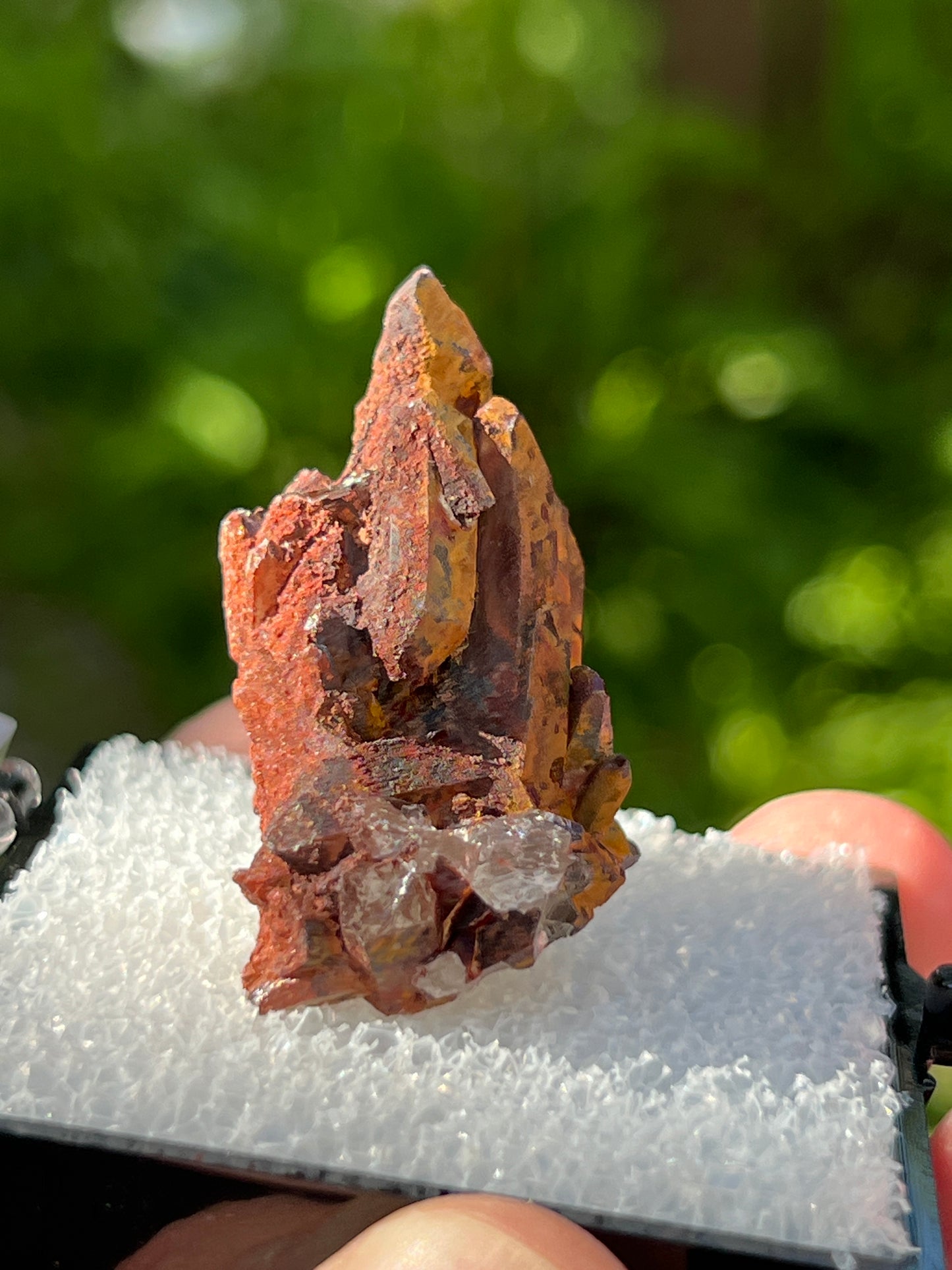 “Red Quartz” - Hematite Included Quartz