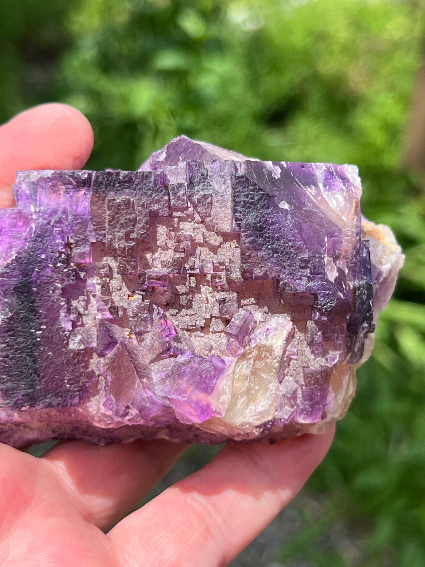 Purple over Yellow Fluorite