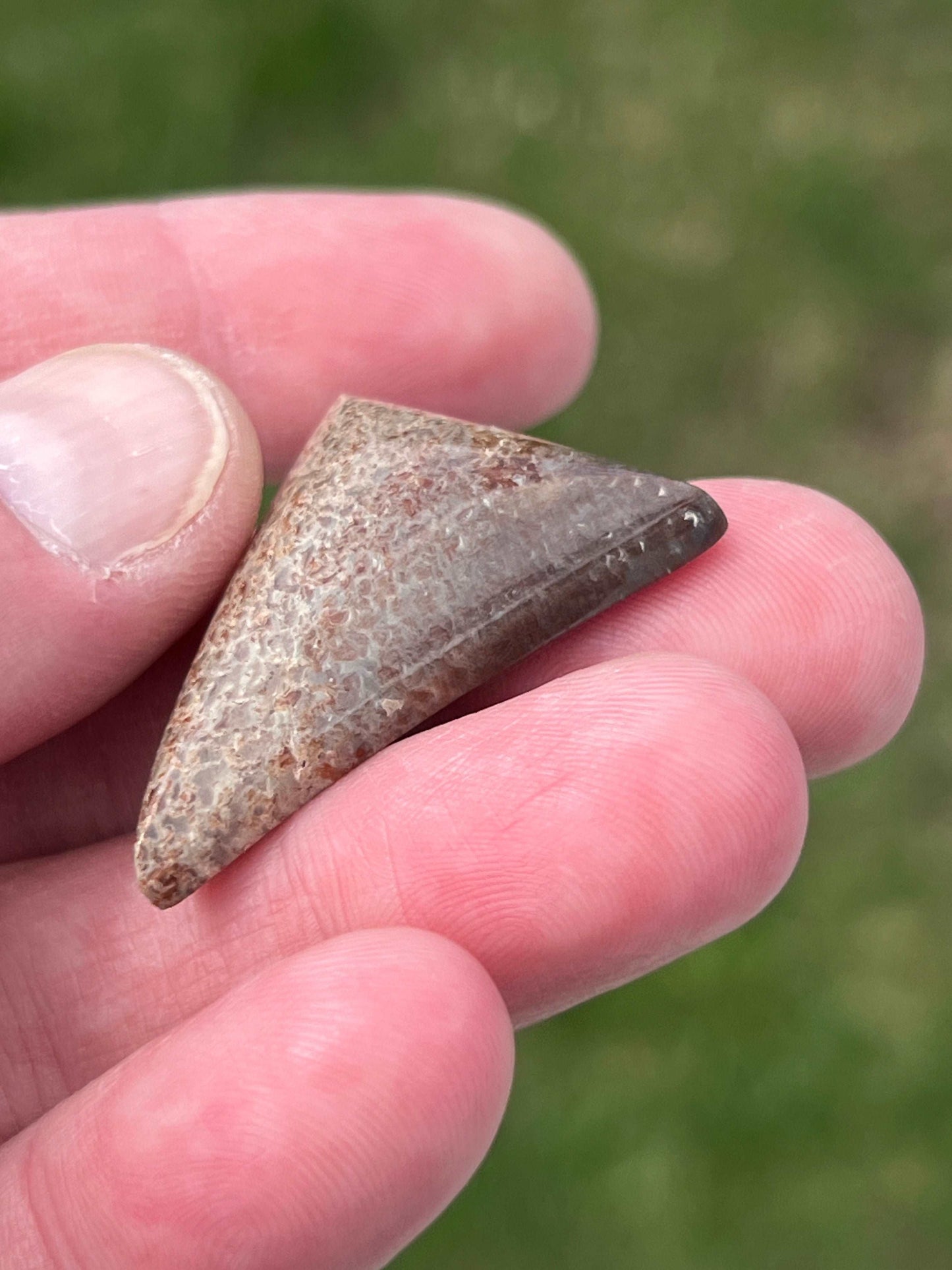 Gem Bone Cabochon