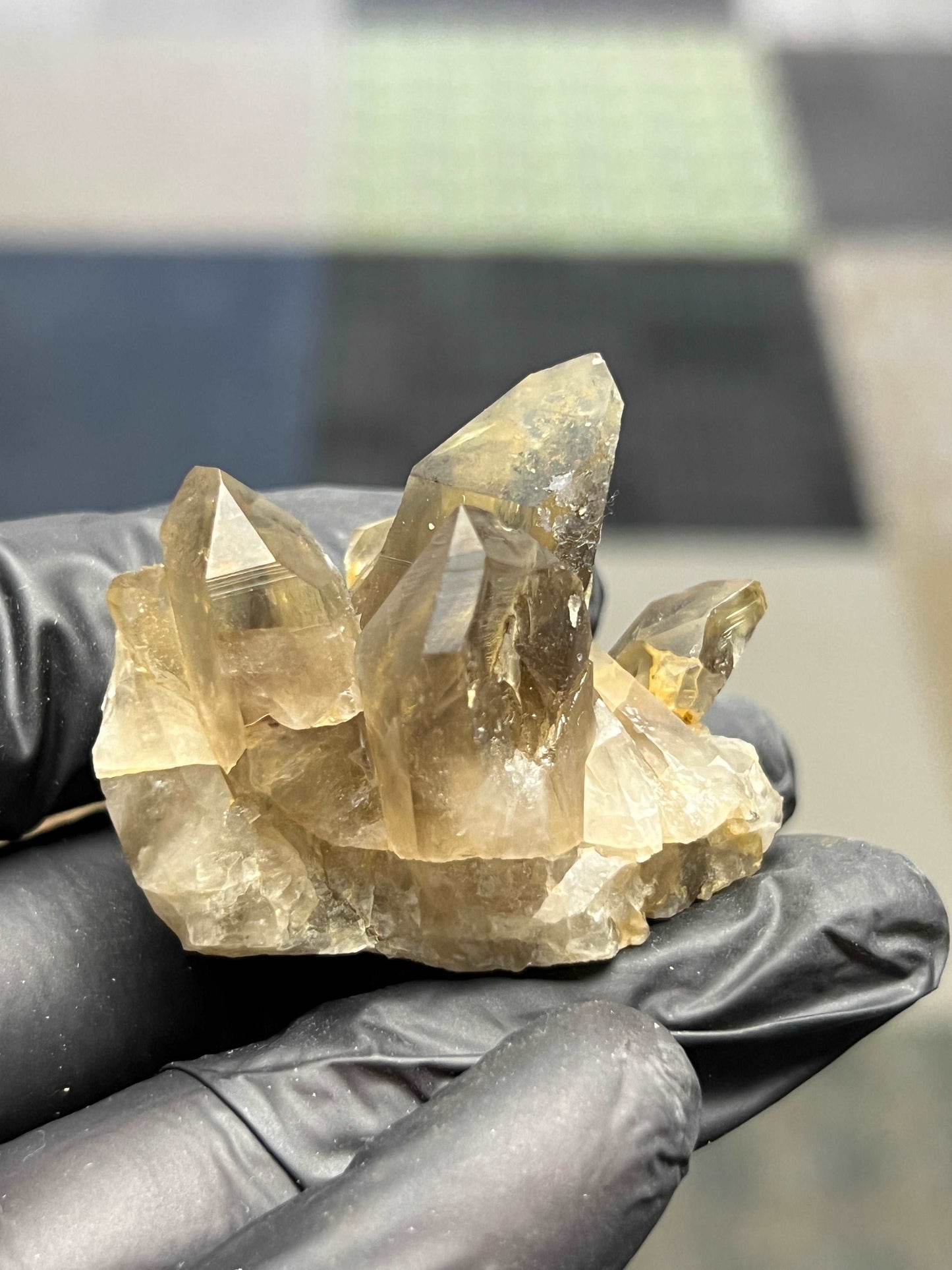 Smoky Quartz Cluster