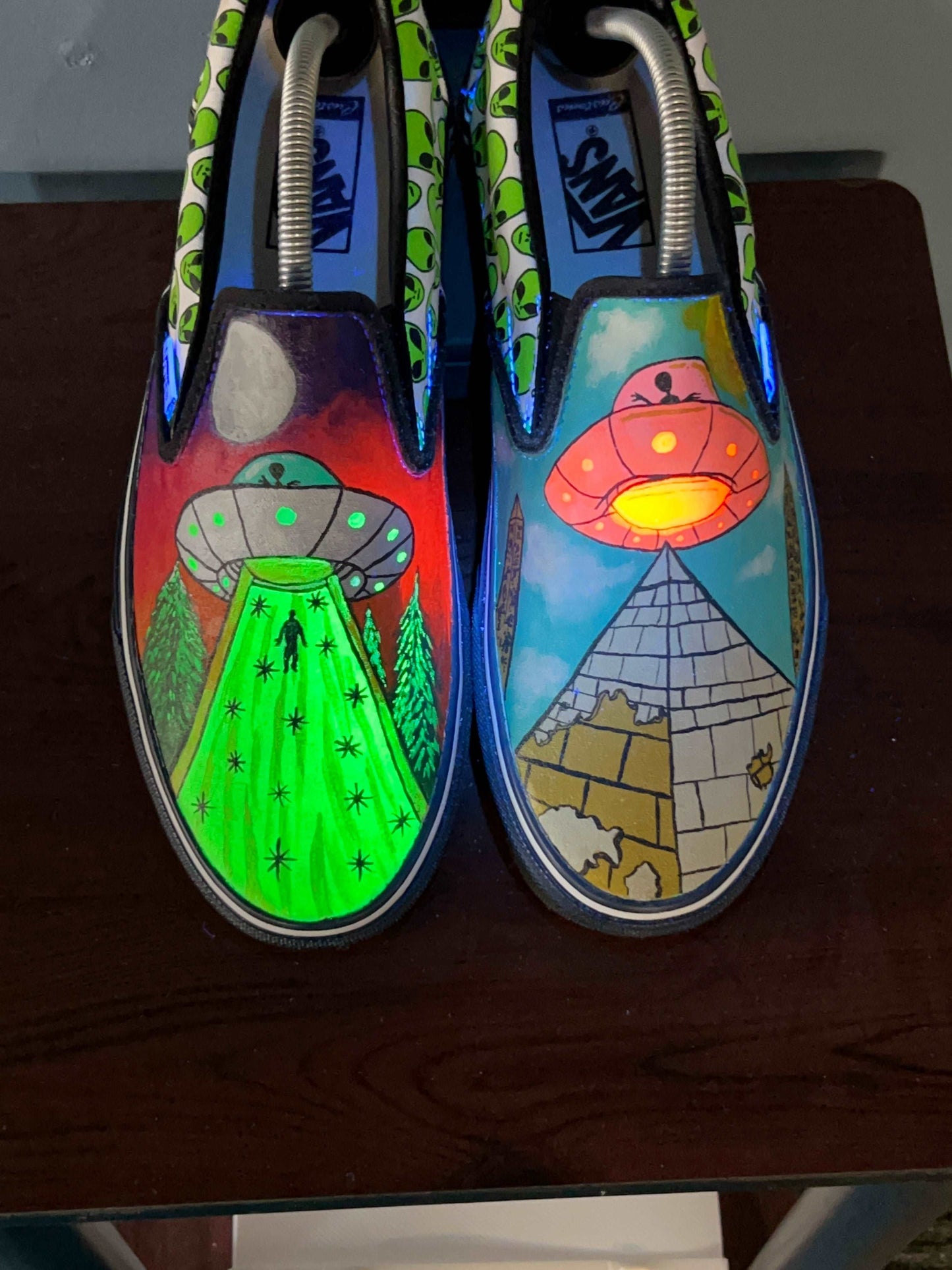 Custom Hand Painted Vans